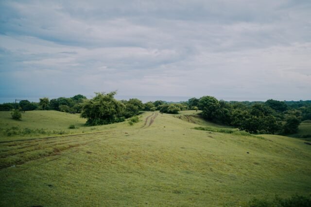 Explore the breathtaking Savana Lendang Denger on a dirt bike — perfect for beginners seeking a fun and scenic off-road adventure in Lombok. #lombokdirtbiketour #lombokenduro #lombokadventure #offroadlombok #lombokdirtbike