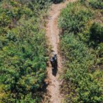 A dirt biker rides along a narrow trail winding through green vegetation, captured from an aerial perspective.