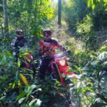 Two dirt bikers wearing helmets and colorful gear riding through a lush forest trail surrounded by dense greenery.